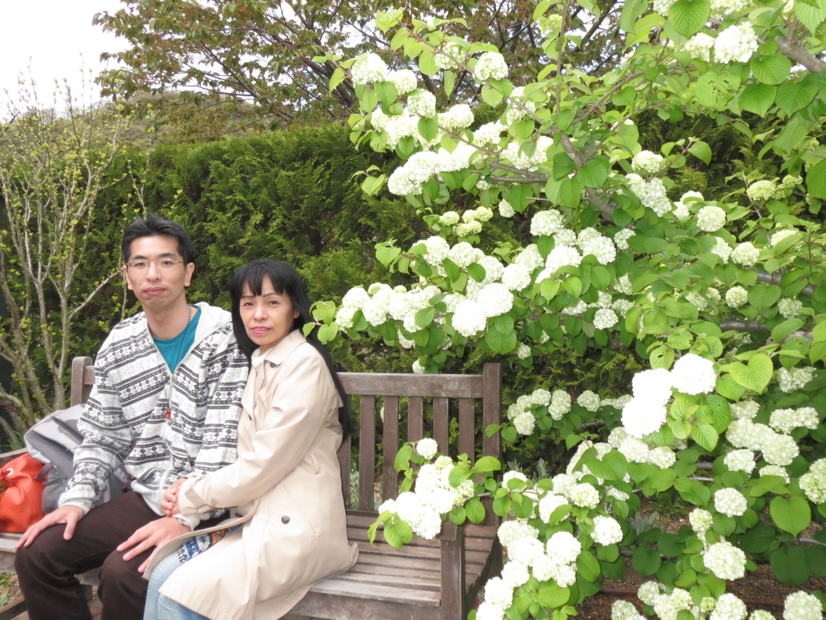 f:id:compass-life:20190419194434j:plain