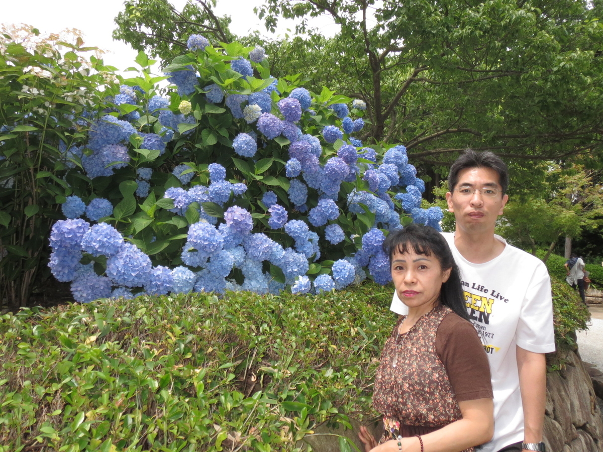 f:id:compass-life:20190419194841j:plain