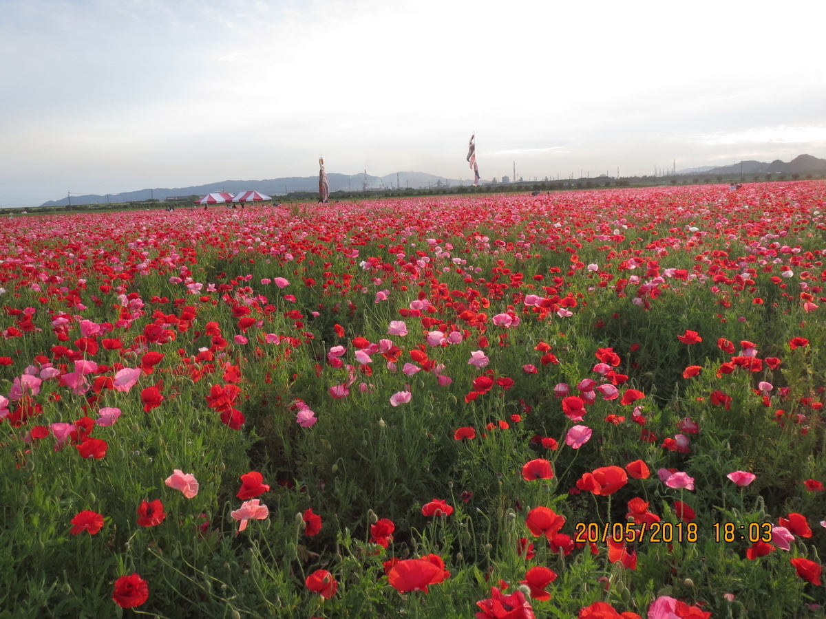f:id:compass-life:20190419195433j:plain