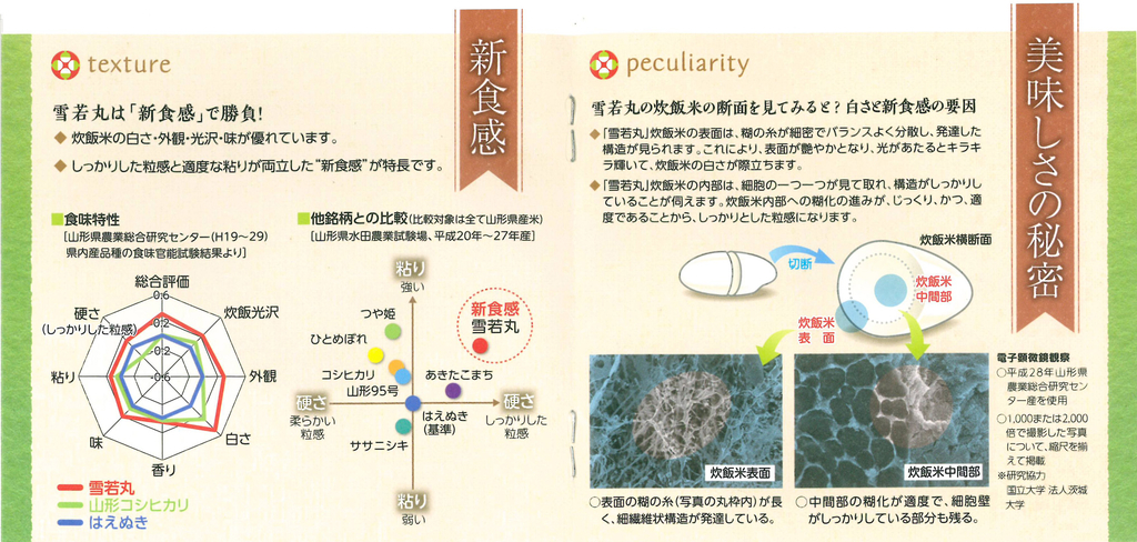 メモアクティブリーフレット