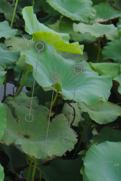 f:id:computer_philosopher:20191020181650p:plain f:id:computer_philosopher:20191020181650p:plain