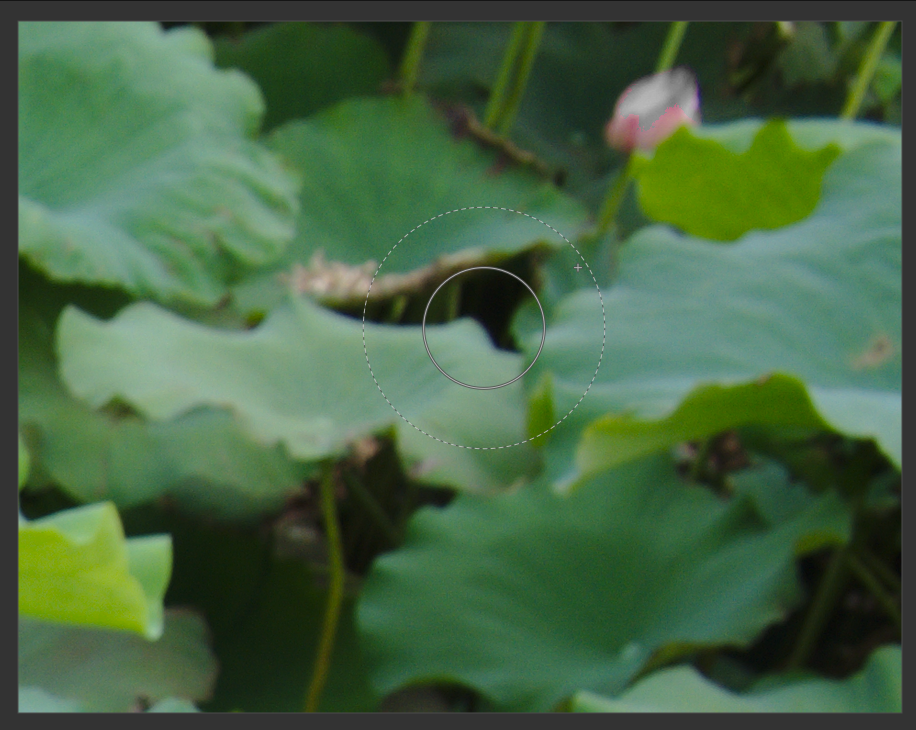 f:id:computer_philosopher:20191020181836p:plain f:id:computer_philosopher:20191020181836p:plain