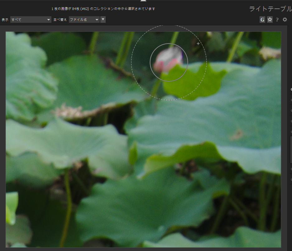 f:id:computer_philosopher:20191020181913p:plain f:id:computer_philosopher:20191020181913p:plain