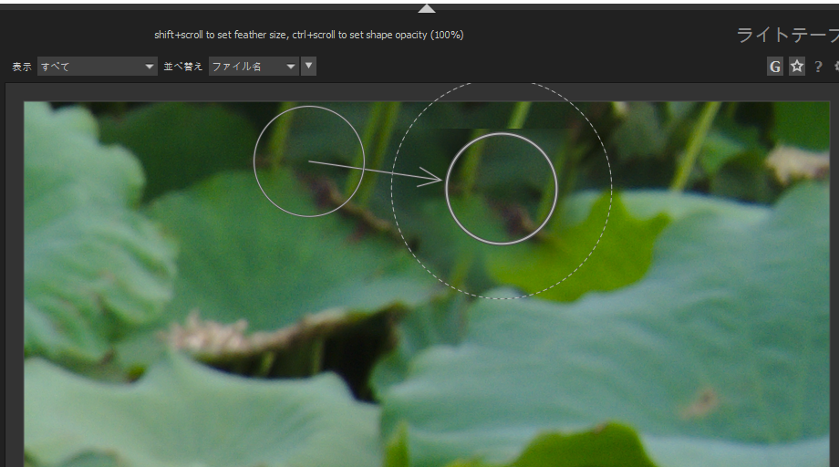 f:id:computer_philosopher:20191020182002p:plain f:id:computer_philosopher:20191020182002p:plain