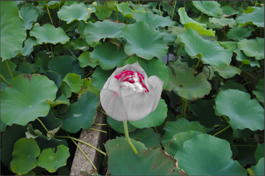 f:id:computer_philosopher:20191020182233p:plain f:id:computer_philosopher:20191020182233p:plain