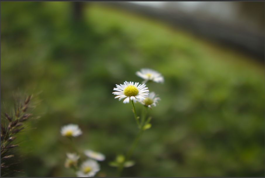 f:id:computer_philosopher:20191028081452p:plain