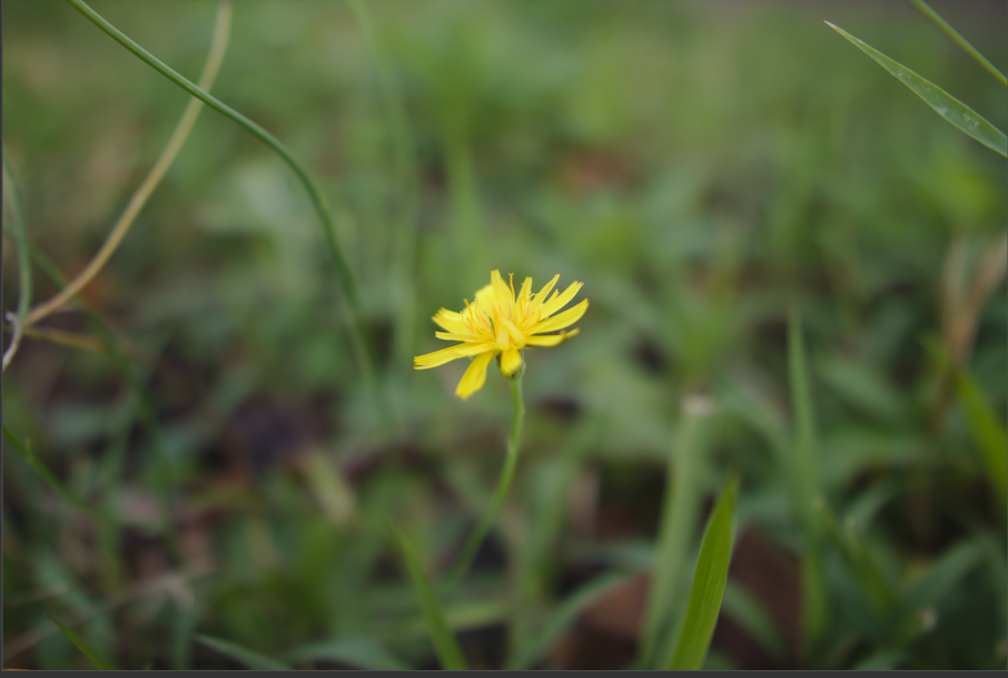 f:id:computer_philosopher:20191028081528p:plain