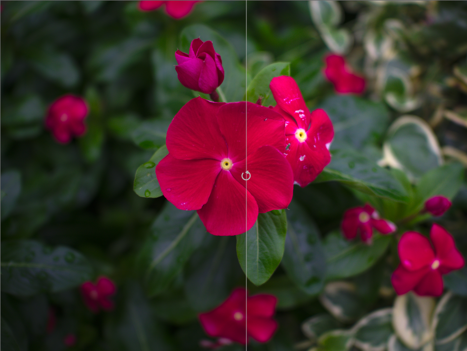 f:id:computer_philosopher:20191204104036p:plain f:id:computer_philosopher:20191204104036p:plain