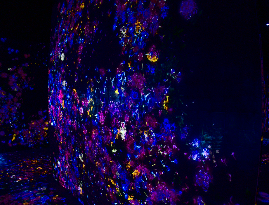 f:id:computer_philosopher:20191204121931p:plain f:id:computer_philosopher:20191204121931p:plain