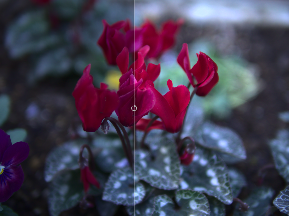 f:id:computer_philosopher:20191206191001p:plain