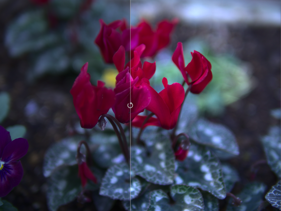 f:id:computer_philosopher:20191206191140p:plain