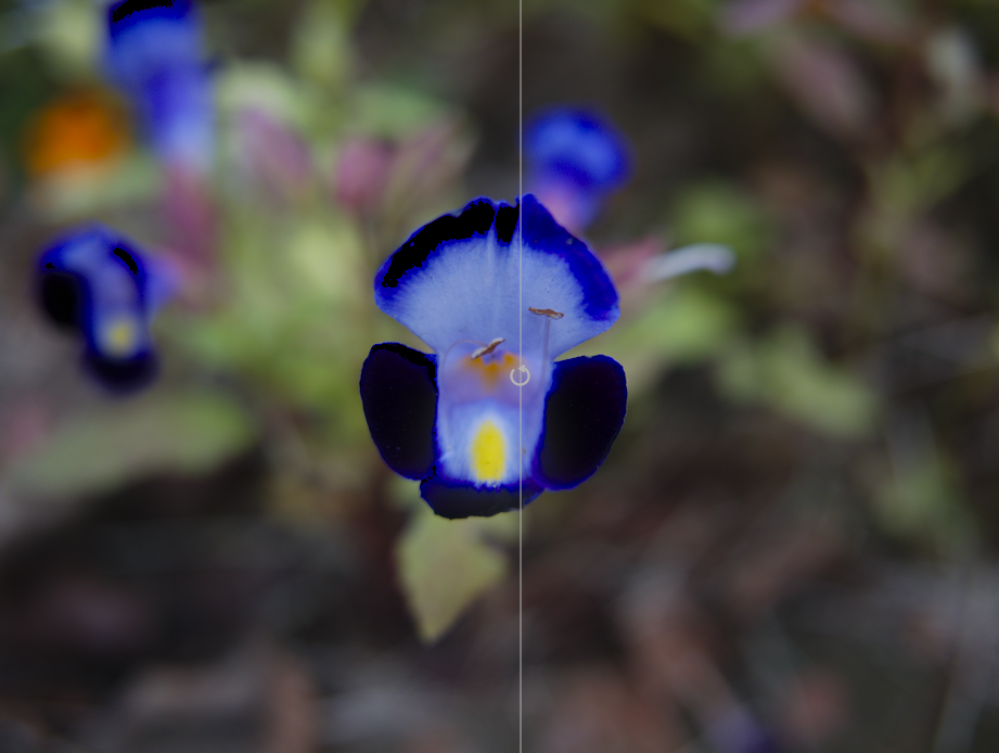 f:id:computer_philosopher:20191206192148p:plain