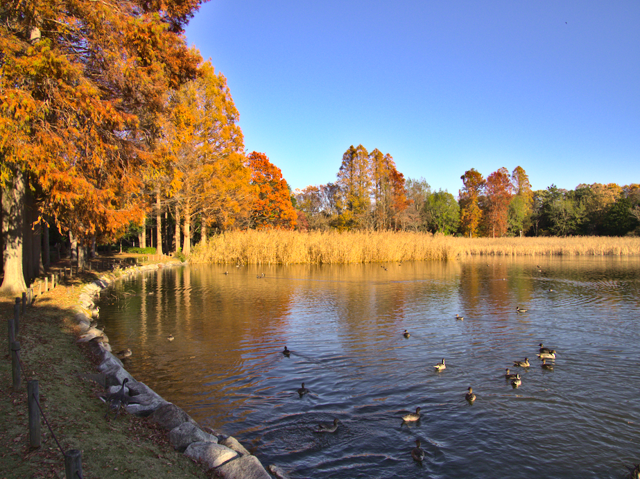 f:id:computer_philosopher:20191207191527p:plain f:id:computer_philosopher:20191207191527p:plain