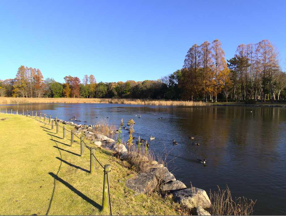 f:id:computer_philosopher:20191207191628p:plain f:id:computer_philosopher:20191207191628p:plain