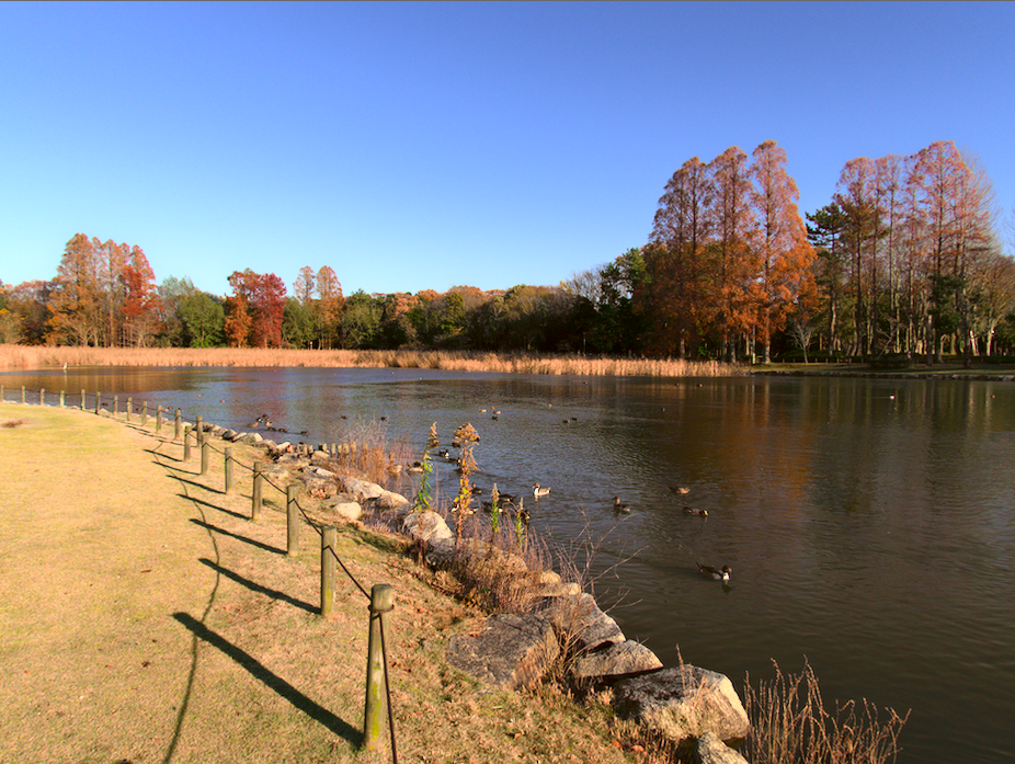 f:id:computer_philosopher:20191207191847p:plain f:id:computer_philosopher:20191207191847p:plain