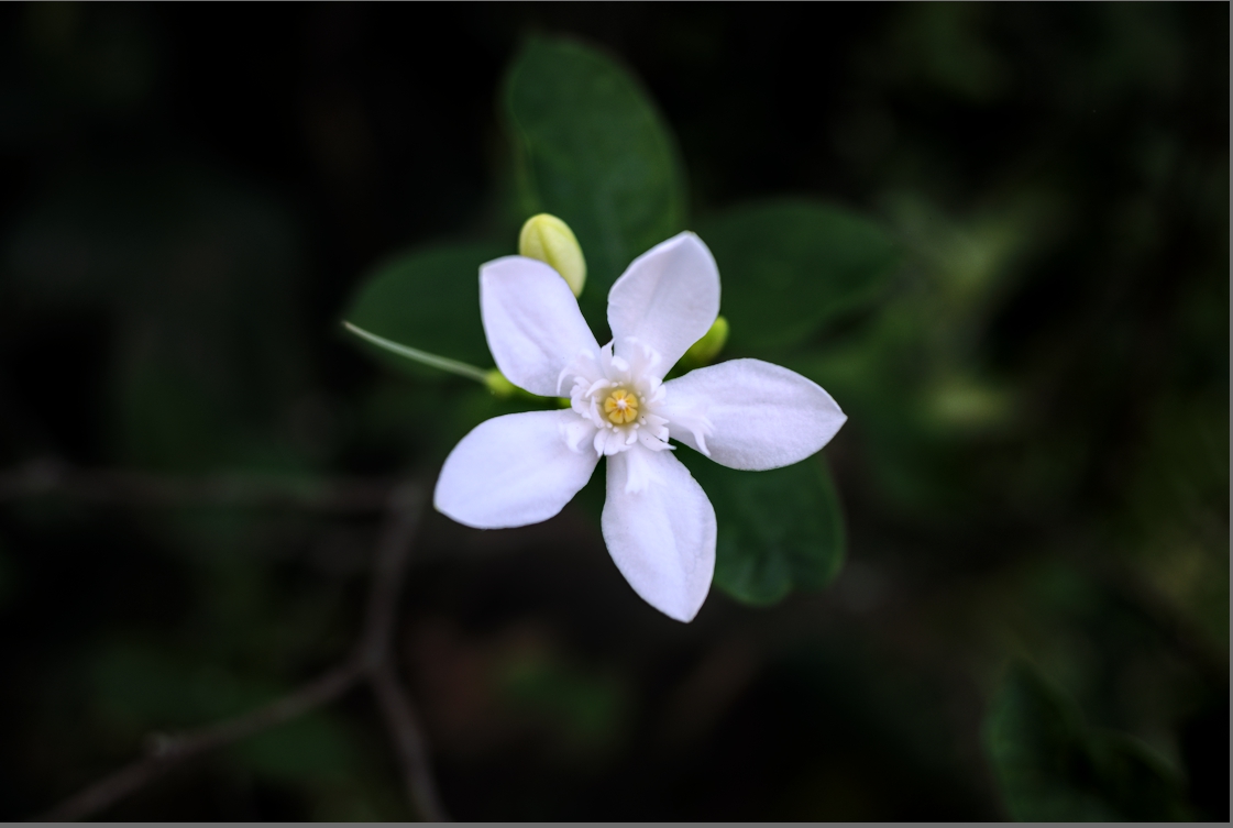 f:id:computer_philosopher:20191230093221j:plain