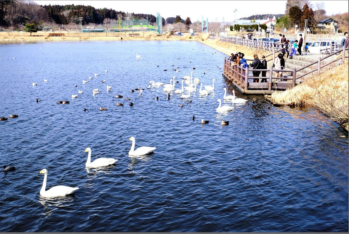 f:id:computer_philosopher:20191230093249j:plain