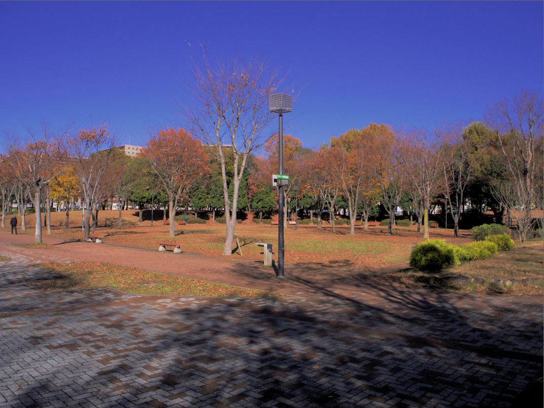 f:id:computer_philosopher:20191230093402p:plain