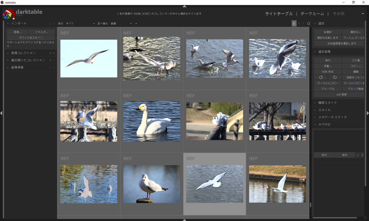 f:id:computer_philosopher:20191231212811p:plain