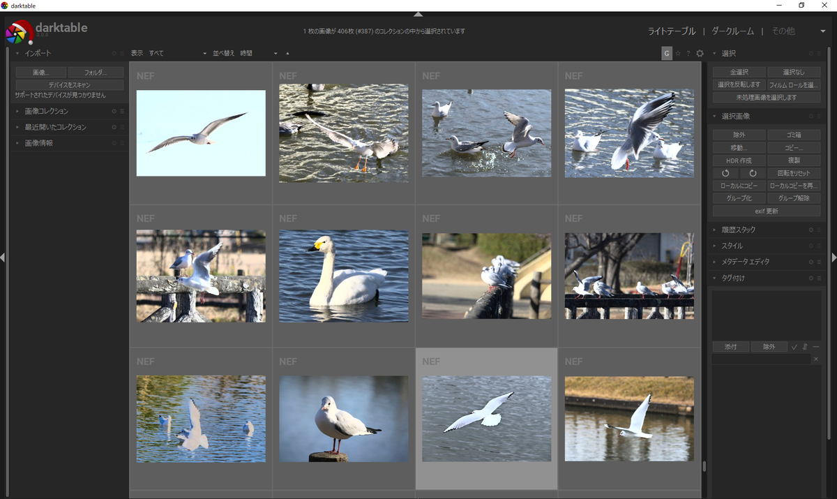 f:id:computer_philosopher:20191231212920p:plain