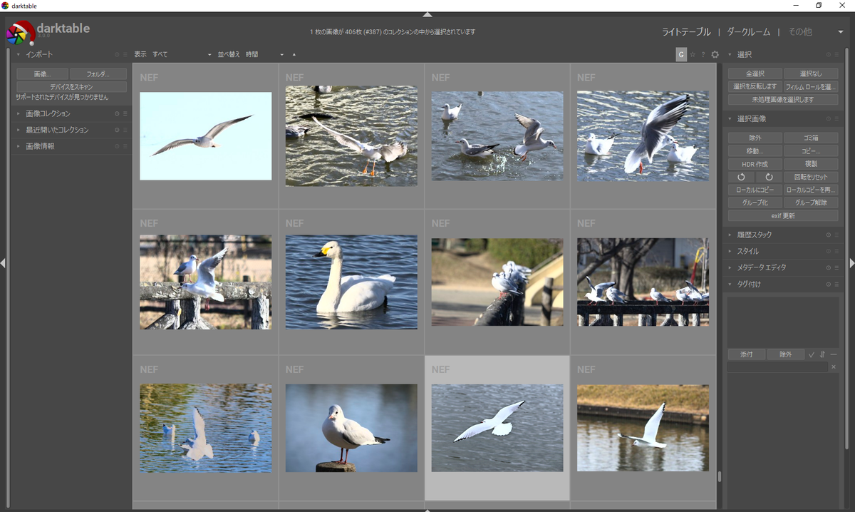 f:id:computer_philosopher:20191231212957p:plain