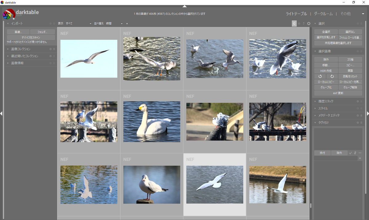 f:id:computer_philosopher:20191231213033p:plain
