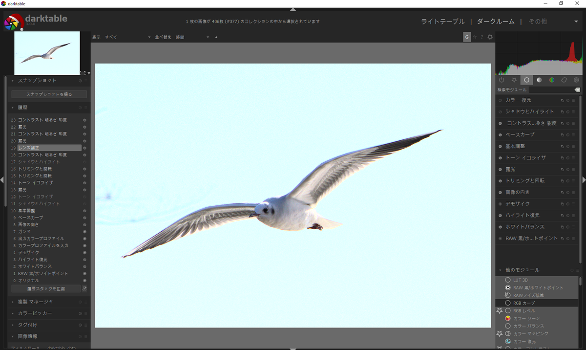 f:id:computer_philosopher:20191231213121p:plain