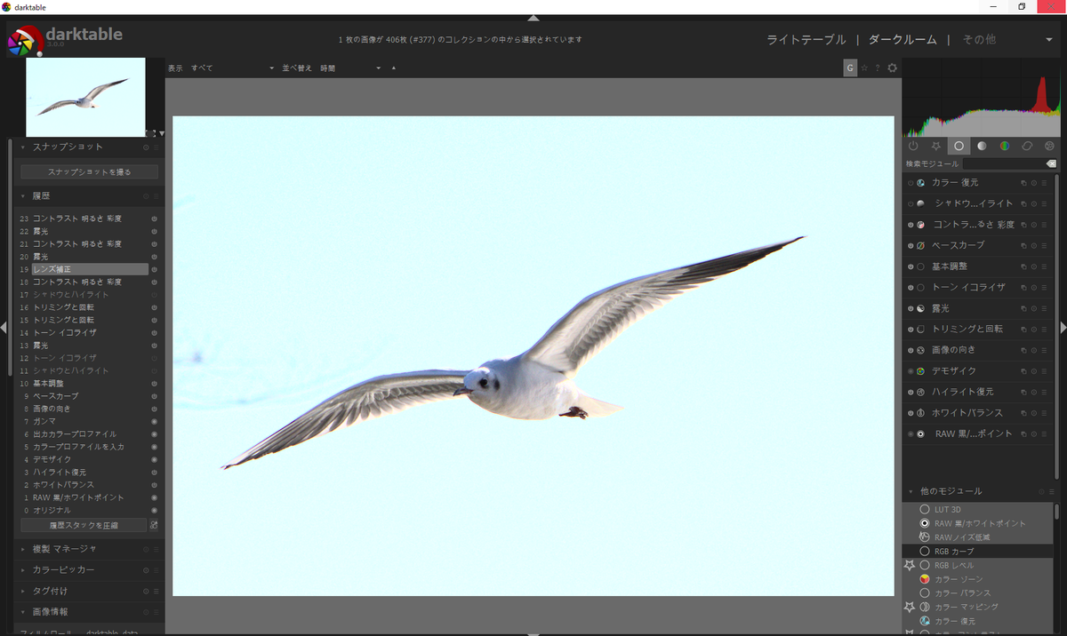 f:id:computer_philosopher:20191231213156p:plain