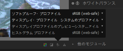 f:id:computer_philosopher:20200102151836p:plain