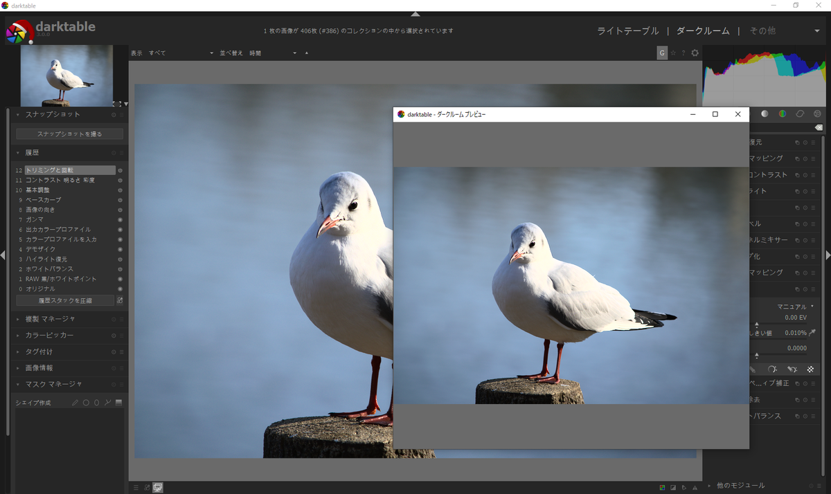 f:id:computer_philosopher:20200102152004p:plain