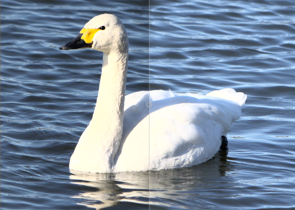 f:id:computer_philosopher:20200110184051p:plain f:id:computer_philosopher:20200110184051p:plain