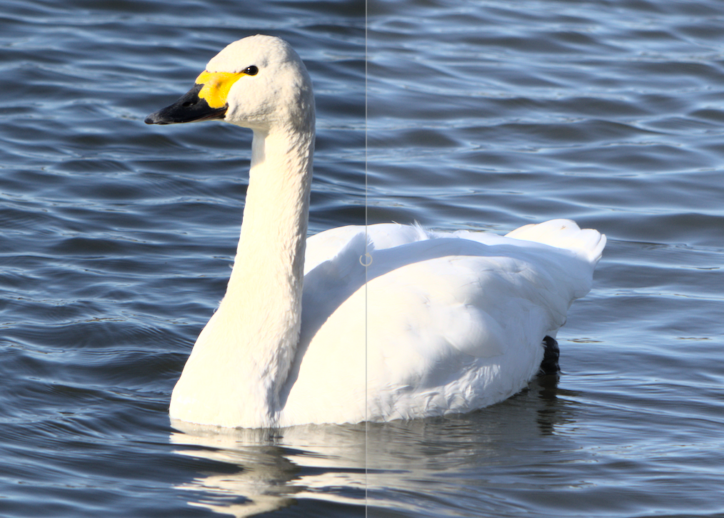 f:id:computer_philosopher:20200110184218p:plain f:id:computer_philosopher:20200110184218p:plain