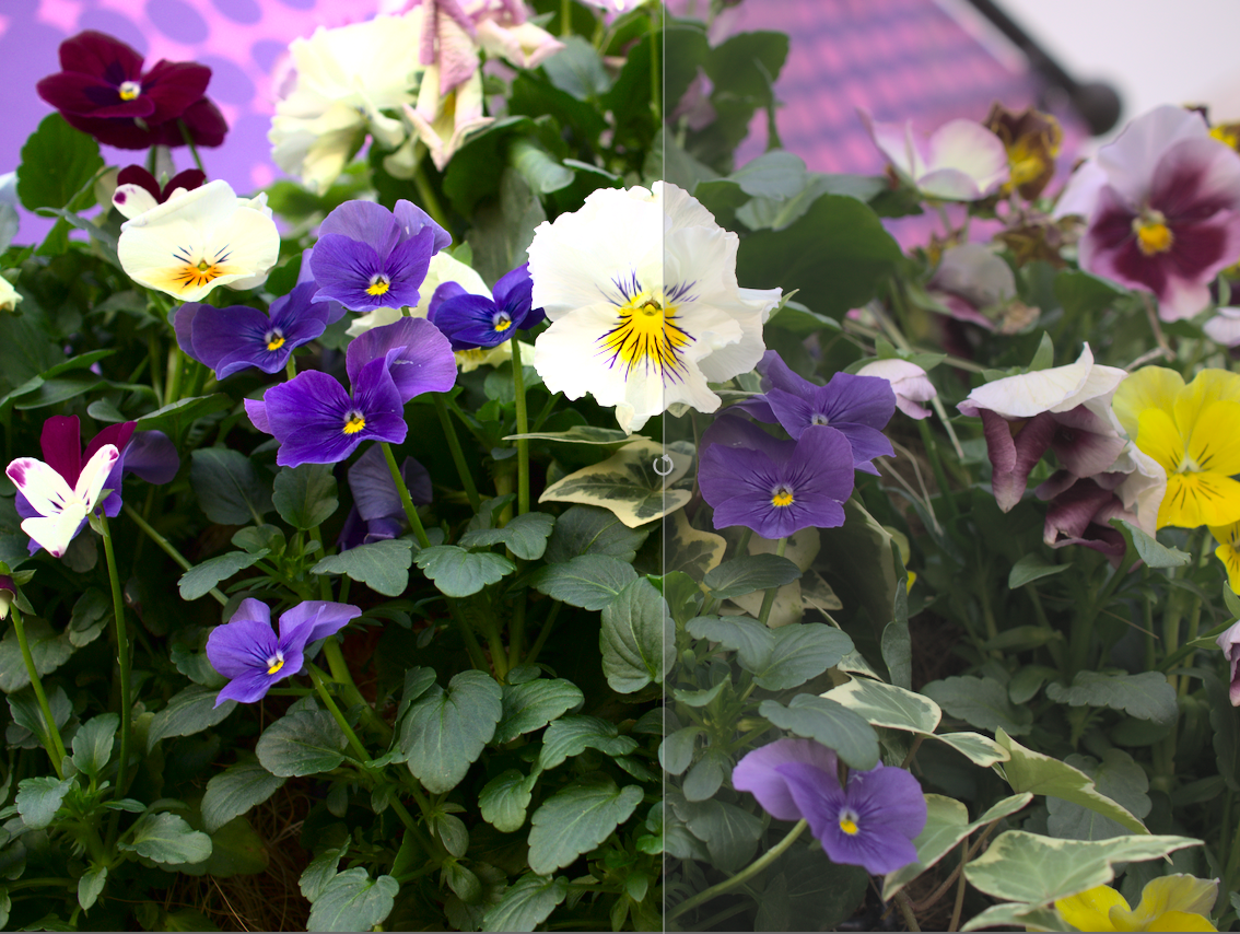 f:id:computer_philosopher:20200112101048p:plain