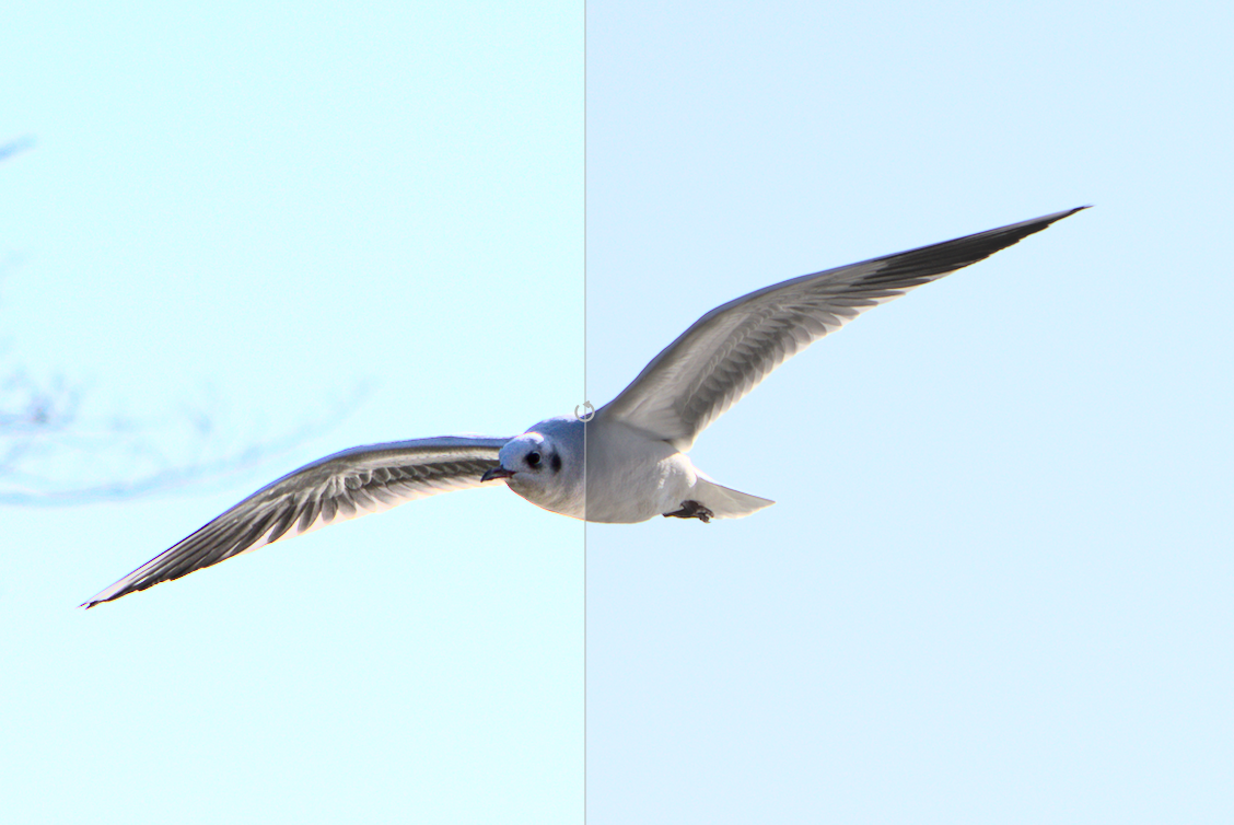 f:id:computer_philosopher:20200112101113p:plain