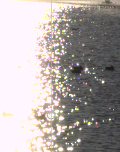 f:id:computer_philosopher:20200112101733p:plain