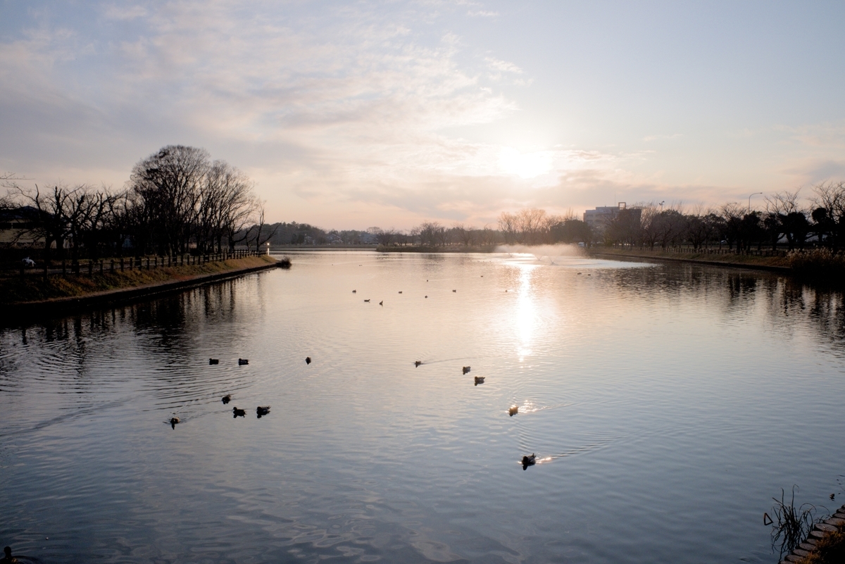 f:id:computer_philosopher:20200112103524j:plain f:id:computer_philosopher:20200112103524j:plain