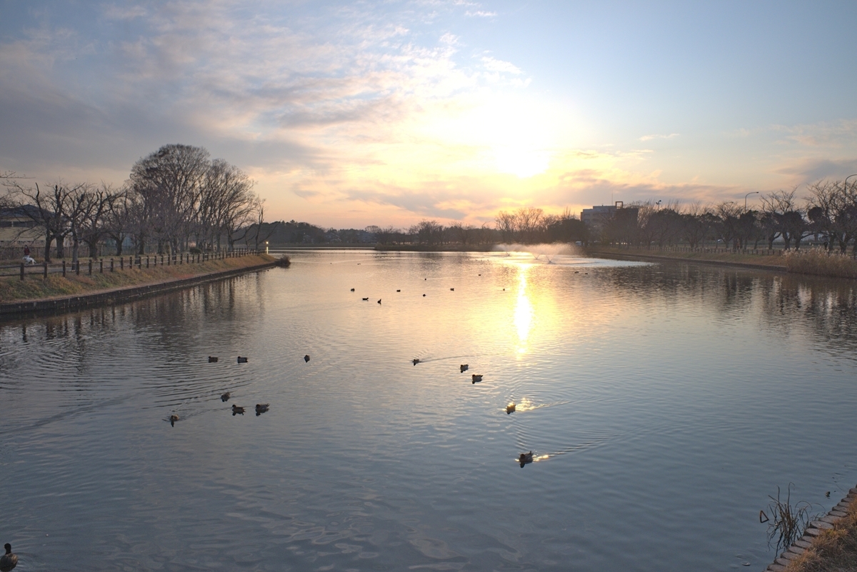 f:id:computer_philosopher:20200112103552j:plain f:id:computer_philosopher:20200112103552j:plain