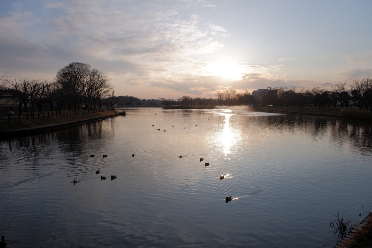 f:id:computer_philosopher:20200112103627j:plain f:id:computer_philosopher:20200112103627j:plain