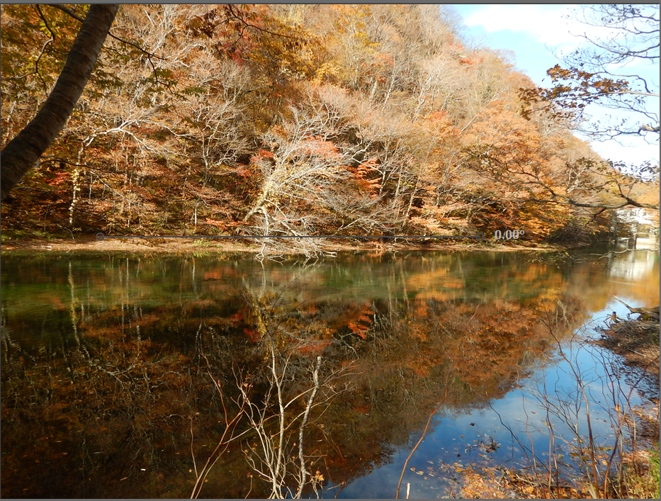 f:id:computer_philosopher:20200121175935p:plain f:id:computer_philosopher:20200121175935p:plain