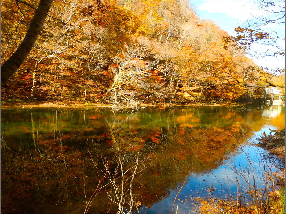 f:id:computer_philosopher:20200121180219p:plain f:id:computer_philosopher:20200121180219p:plain