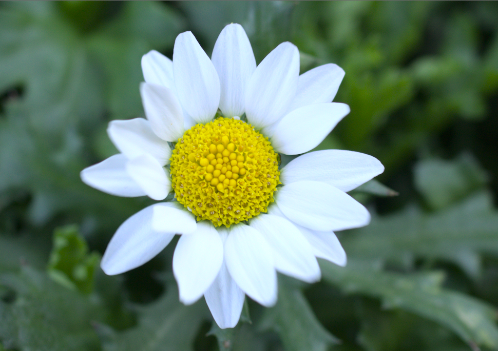 f:id:computer_philosopher:20200125122639p:plain