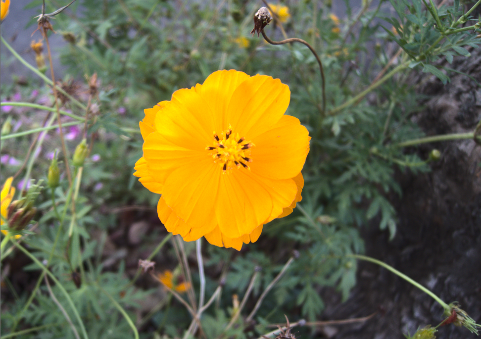 f:id:computer_philosopher:20200125122736p:plain