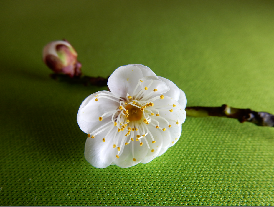 f:id:computer_philosopher:20200126085712p:plain f:id:computer_philosopher:20200126085712p:plain