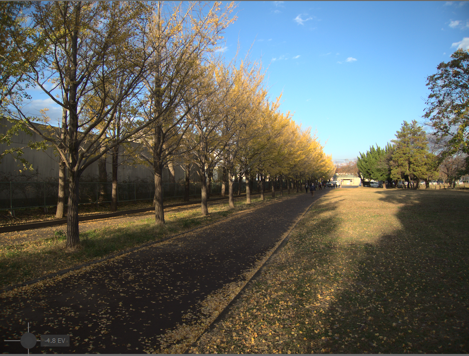 f:id:computer_philosopher:20200206214325p:plain f:id:computer_philosopher:20200206214325p:plain