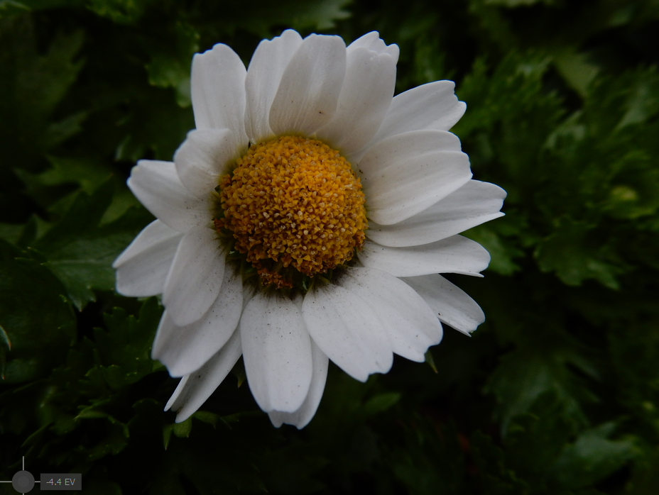 f:id:computer_philosopher:20200206214439p:plain f:id:computer_philosopher:20200206214439p:plain