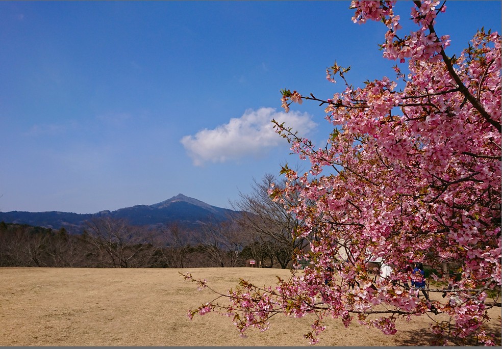 f:id:computer_philosopher:20200302142832j:plain f:id:computer_philosopher:20200302142832j:plain