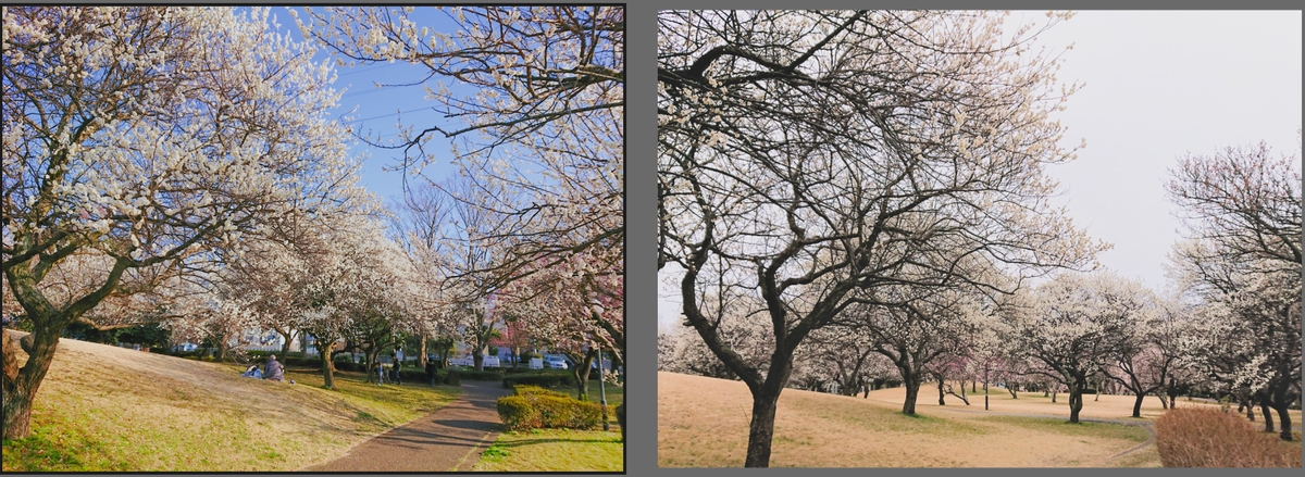 f:id:computer_philosopher:20200303125856p:plain f:id:computer_philosopher:20200303125856p:plain