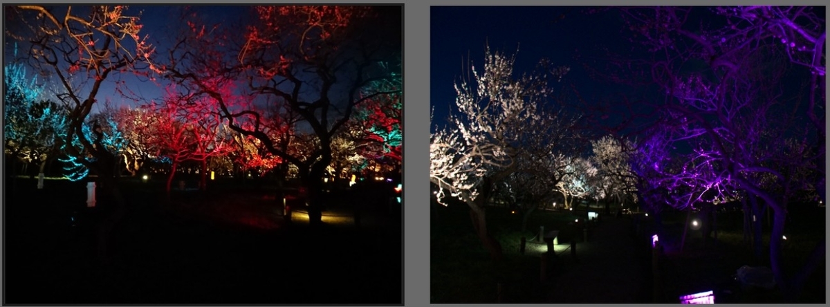 f:id:computer_philosopher:20200304154608j:plain f:id:computer_philosopher:20200304154608j:plain