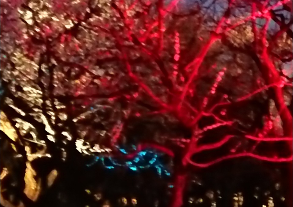 f:id:computer_philosopher:20200304154634j:plain f:id:computer_philosopher:20200304154634j:plain