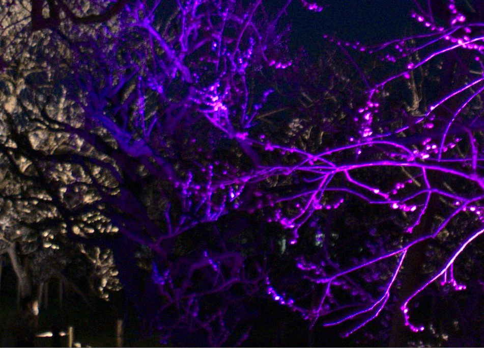 f:id:computer_philosopher:20200304154704j:plain f:id:computer_philosopher:20200304154704j:plain